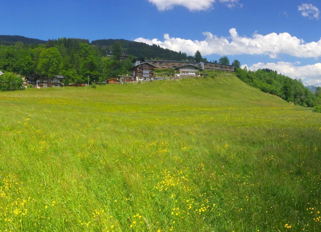 Apartment Weinberg Kirchberg in Tirol Eksteriør billede